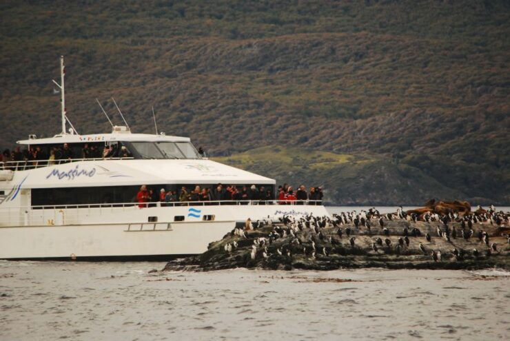 Ushuaia: Penguin Watching Tour by Catamaran - Good To Know