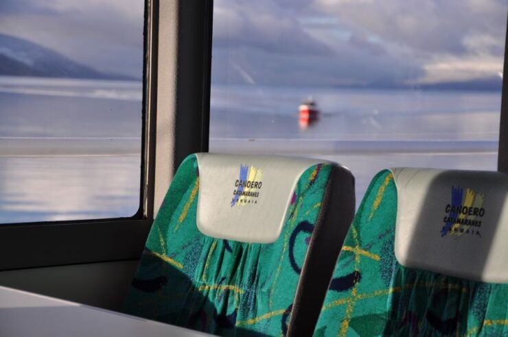 Ushuaia: Penguin Watching Tour by Catamaran - Tour Highlights