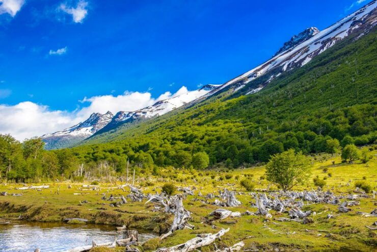 Ushuaia: Shared Experience "Tierra Del Fuego" National Park - Experience Highlights