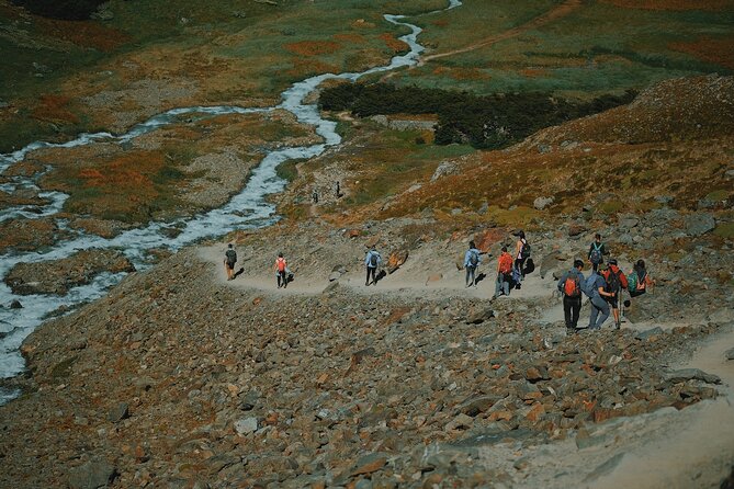 Ushuaia: Tempranos Lagoon and Glaciar Vinciguerra Hiking Tour (Feb ) - Guide and Amenities