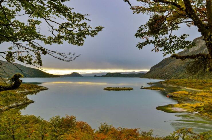 Ushuaia: Tierra Del Fuego National Park Tour With Lunch - Tour Overview