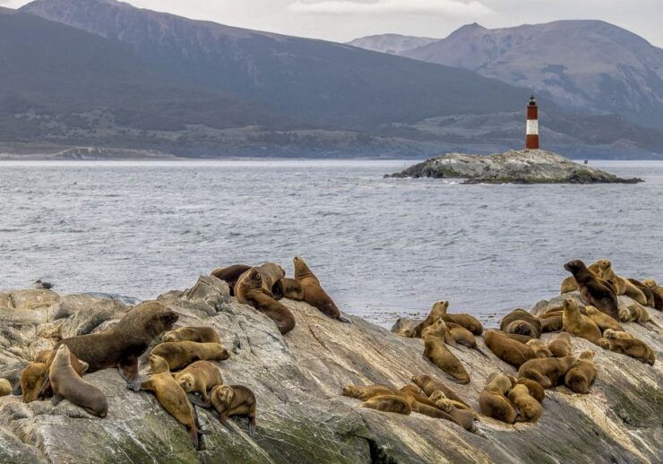 Ushuaia: Two-Day Trip to Tierra Del Fuego & Beagle Channel - Good To Know