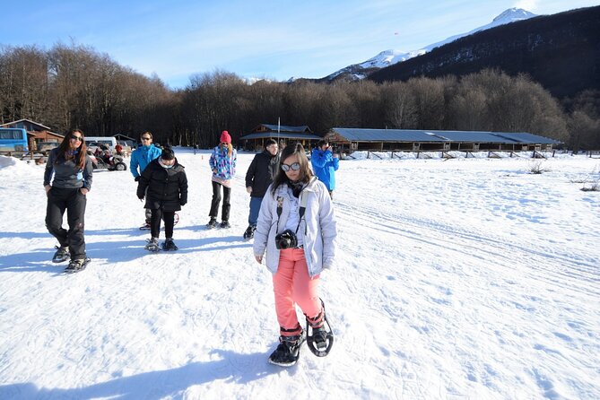 Ushuaia: White Adventure in Sleighs With Huskys - What to Expect