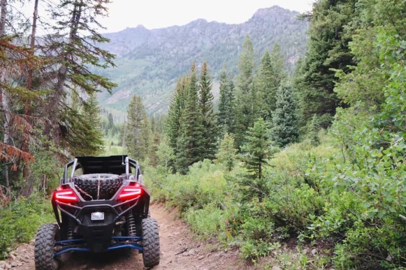 Utah: Guided UTV Tour with Local Expert - Why Choose This UTV Tour?