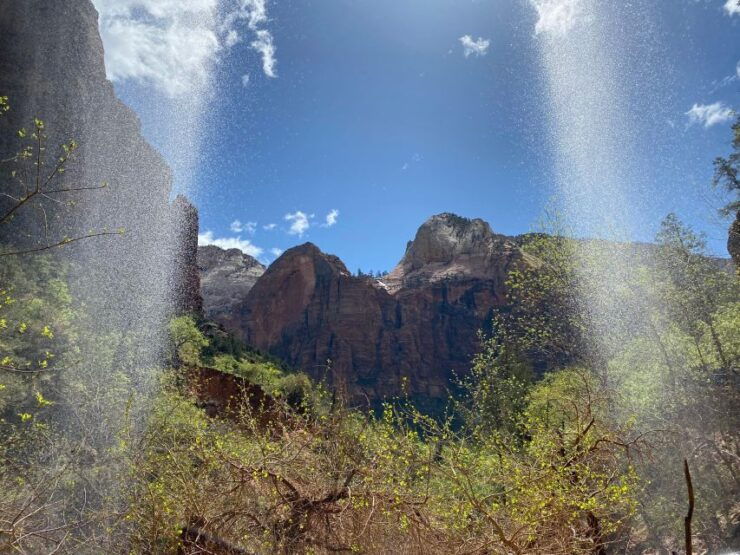 Utah: Zion National Park Half-Day Hike With Picnic - Activity Overview