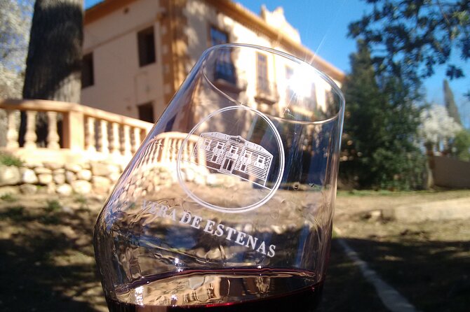 Utiel-Requena Excursion: Uncover the Flavors of Valencias Wine - Vineyard Tours and Wine Production