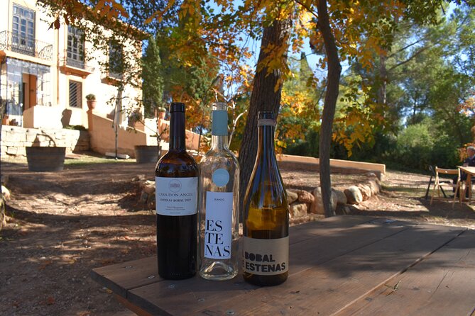 Utiel-Requena Excursion: Uncover the Flavors of Valencias Wine - Local Cuisine Pairings