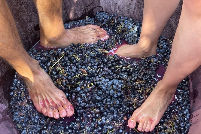Utiel-Requena Excursion: Uncover the Flavors of Valencias Wine - Historical Landmarks in Utiel-Requena