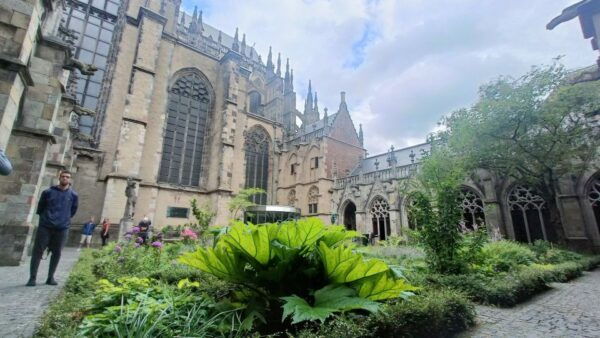 Utrecht: Guided Highlights Walking Tour - Customer Reviews and Recommendations