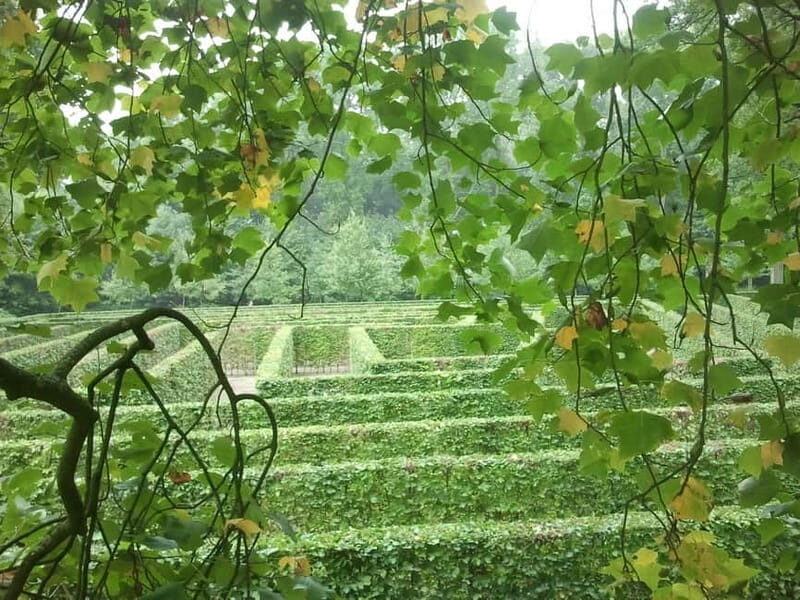 Utrecht: Park Entry Ticket De Haar Castle - The Experience in Detail