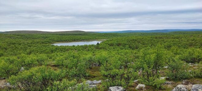 Utsjoki: Guided Hike to Nearby Fells - What to Bring