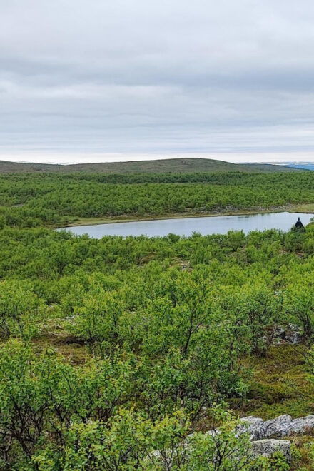 Utsjoki: Guided Hike to Nearby Fells - Requirements for Participants