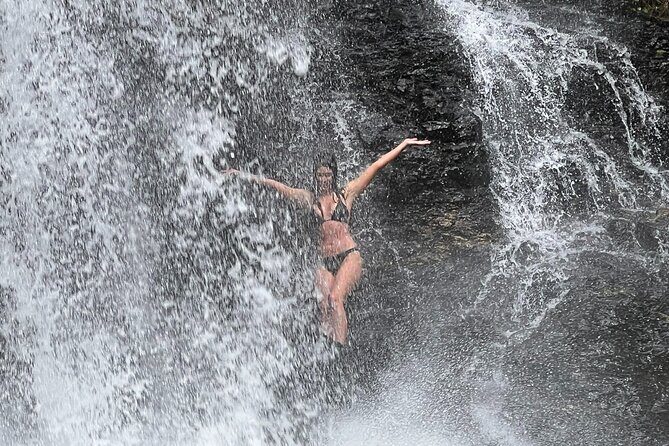 UTV 4wd Cassowary Falls and Daintree Rainforest Adventure tour - A Detailed Look at the Tour Experience