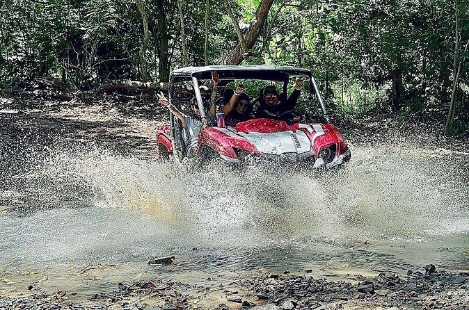 UTV adventure in Naguabo Puerto Rico 50 minutes trip 80 acres - Practical Tips for Participants