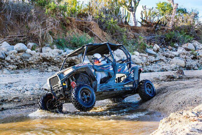 UTV and Camel Ride in the Cabo Desert - Good To Know