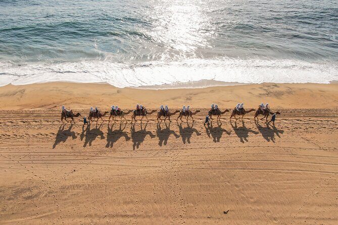 UTV and Camel Ride in the Cabo Desert - FAQ