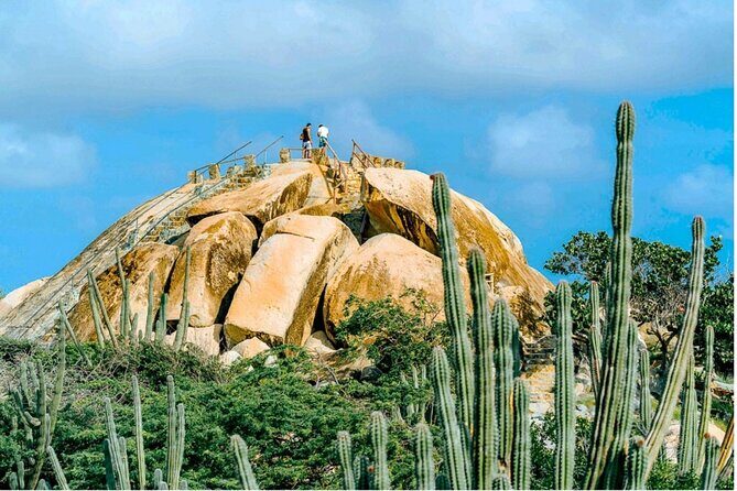 UTV Morning Tour: Discover Aruba's Hidden Treasures - Who Will Love This Tour?