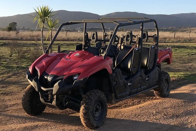 UTV off Road Experience and Winery Visit in Valle De Guadalupe! - Exploring Valle De Guadalupe