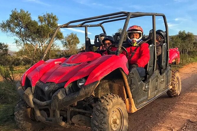 UTV off Road Experience and Winery Visit in Valle De Guadalupe! - Meeting and Pickup Details