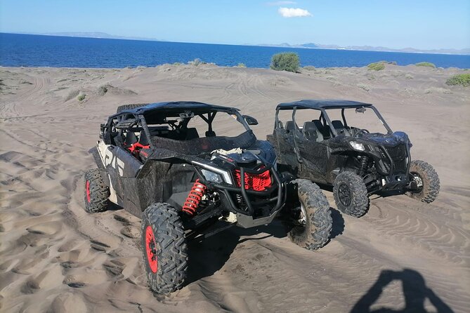 UTV Off-Roading Sandboarding Adventure at the Dunes - Reviews