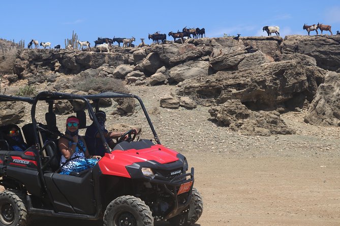 UTV or ATV to Arubas Secret Beach and Cave Pool Adventure - Tips for a Memorable Cave Pool Adventure