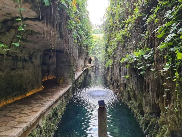 UXMAL + 2 CENOTES & HACIENDA - Cenote Exploration