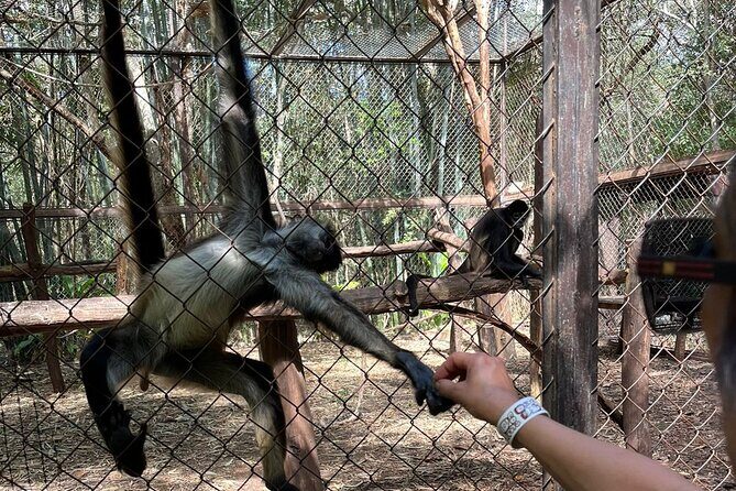 Uxmal Cultural and Gastronomic Tour and Cocoa Museum - The Sum Up