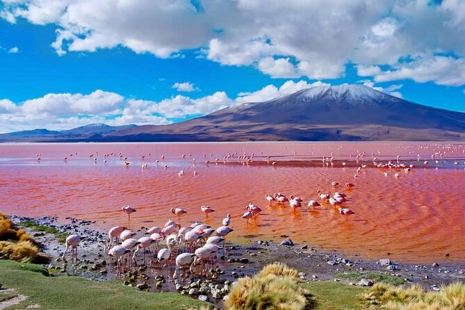 Uyuni Salt Flat 4 Days 3 Nights - Itinerary Highlights