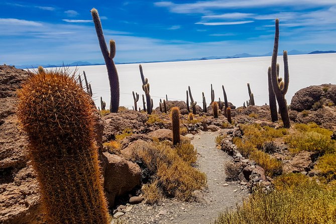 Uyuni Salt Flats - 3 Days / 2 Nights - English Speaking Guide - Frequently Asked Questions