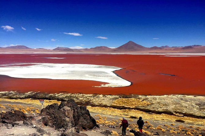 Uyuni Standard Tour - 3 Days - Tour Highlights