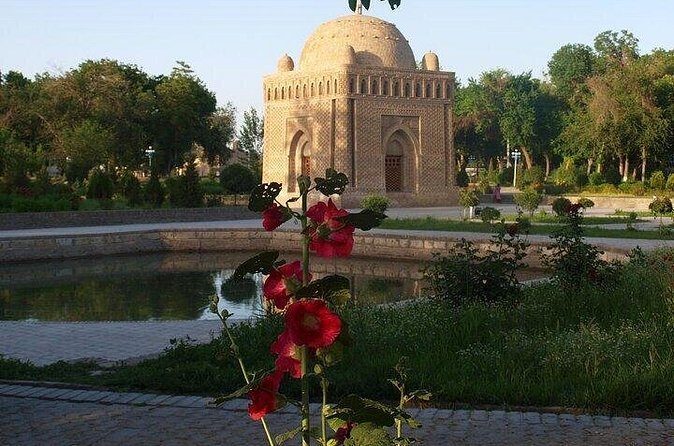 Uzbekistan 8 Days Luxury Private Tour - Final Thoughts: Who Is This Tour Perfect For?