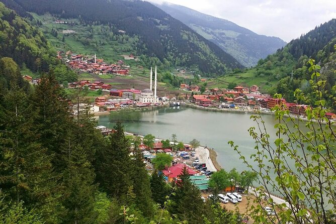 Uzungol Tour: Full-Day Nature Adventure With Tea Factory Visit - Tour Highlights and Recommendations