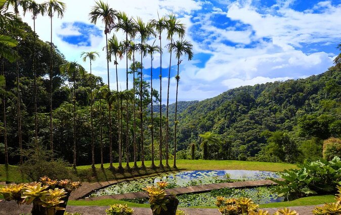 V.I.P Green Escape 1- Botanical Garden - Highlights of Botanical Garden Tour
