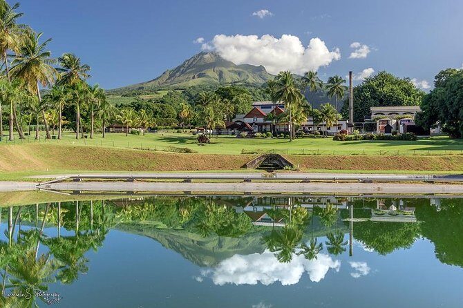 V.I.P North Caribbean deep forest Tour -The Green Martinique - Good To Know