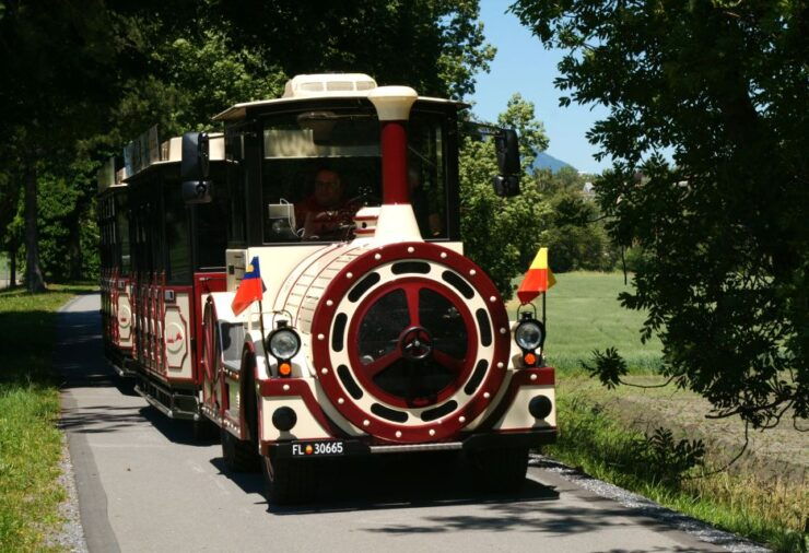 Vaduz: 35-Minute City Train Tour in 15 Languages - Booking Details