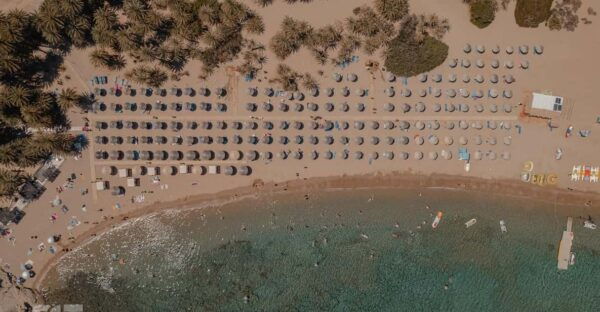Vai Palm Beach, Toplou Monastery and Sitia Guided Tour - Frequently Asked Questions
