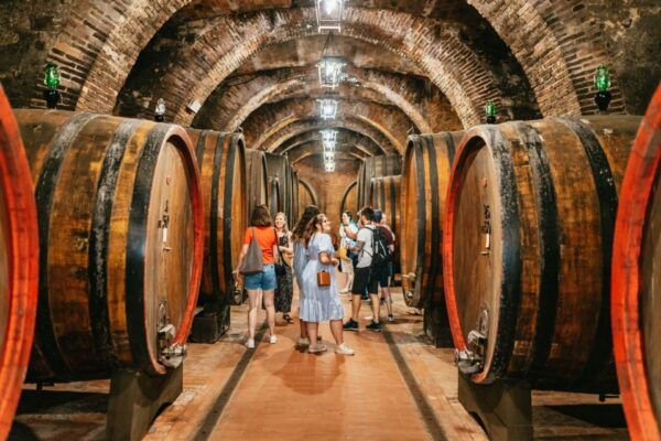 Val DOrcia: Cheese and Wine Tasting Tour From Florence - Product ID
