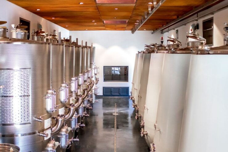 Val D'orcia: La Nascosta Wine Cellar Tour and Wine Tasting - Experience Val Dorcias Wine Culture