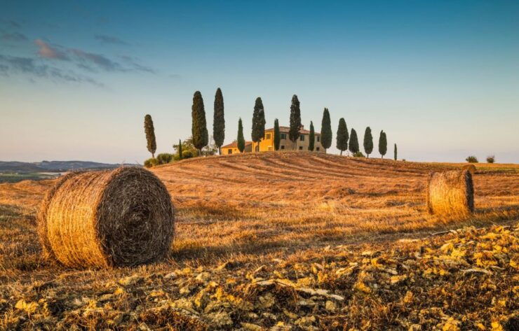 Val D'orcia: Montepulciano, Pienza, Montalcino With Winery - Experience Highlights
