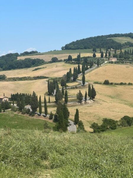 Val Dorcia: Private Brunello Wine Tastings and Little Town - Frequently Asked Questions