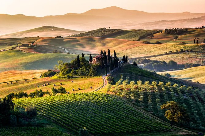 Val Dorcia Private Tour: Montalcino, Pienza and Montepulciano - Highlights of the Val Dorcia Tour