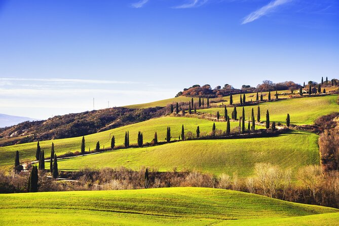 Val Dorcia Private Tour: Montalcino, Pienza and Montepulciano - Traveler Reviews and Ratings