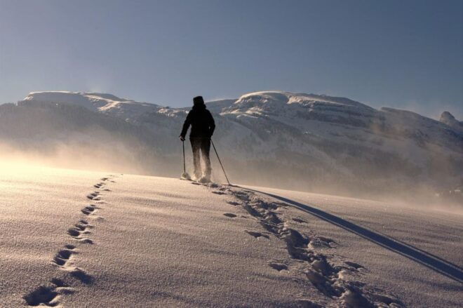 Val Thorens: Life Is Better in Snowshoes - Immersive Nature Experience in Val Thorens