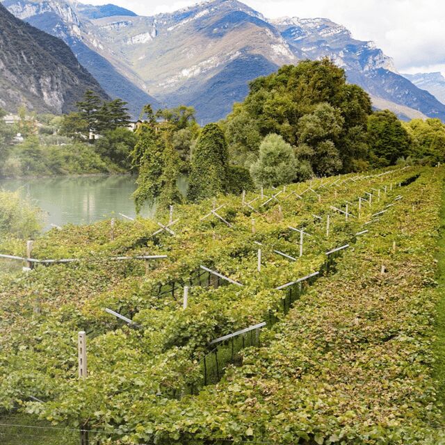 Valdadige: Roeno Guided Tour and Wine tasting - Exploring the Tour Itinerary in Detail