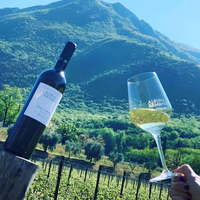 Valdadige: Winery Tour with 4 Wine Tastings - Good To Know