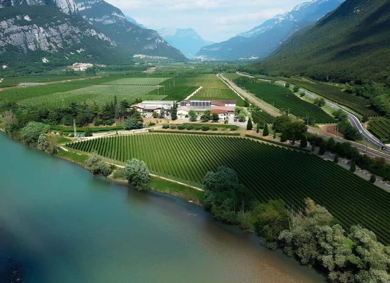 Valdadige: Winery Tour with 4 Wine Tastings - Final Thoughts