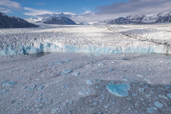 Valdez Columbia Glacier Spectacular Helicopter Tour - Additional Sightings and Nature Encounters