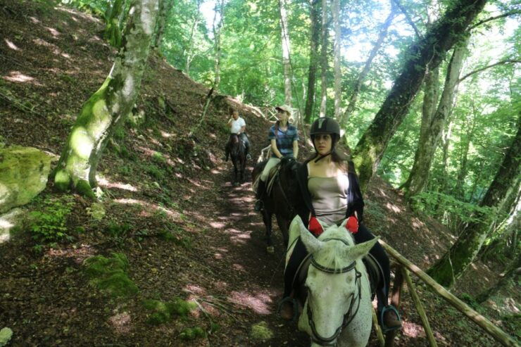 Valdichiana: Horseback Riding Tour With Tuscan Picnic - Activity Details