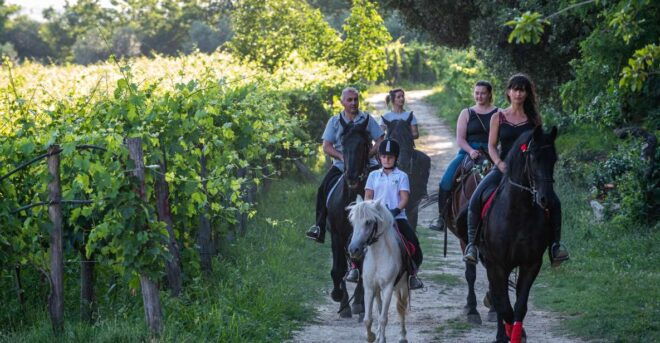 Valdichiana: Horseback Riding Tour With Tuscan Picnic - Inclusions