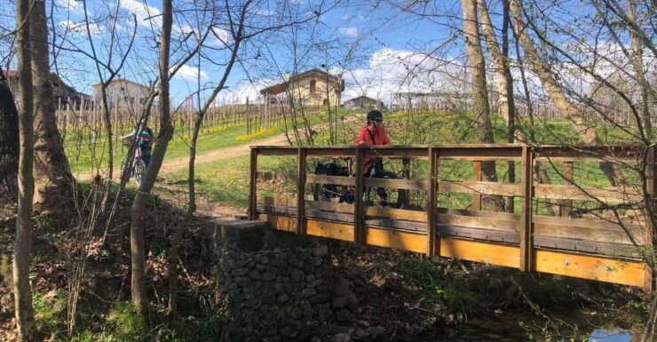 Valdobbiadene: Bike Rental and Prosecco Tasting - Good To Know